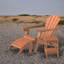 Matei 14 L x 13 W Outdoor Adirondack Side Table-690508218