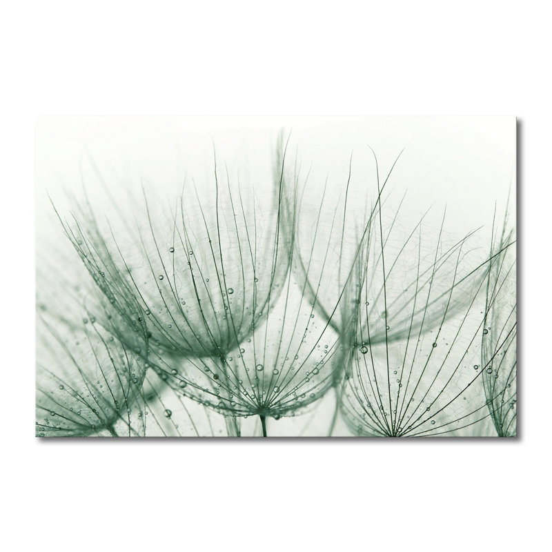 Wrapped Canvas Print, 80cm H x 120cm W x 2cm D