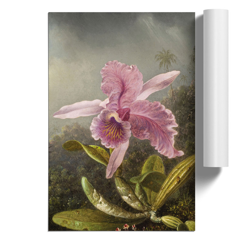 Pink Orchids by Martin Johnson Heade - Frameless Print, 30cm H x 21cm W x 0.1cm D
