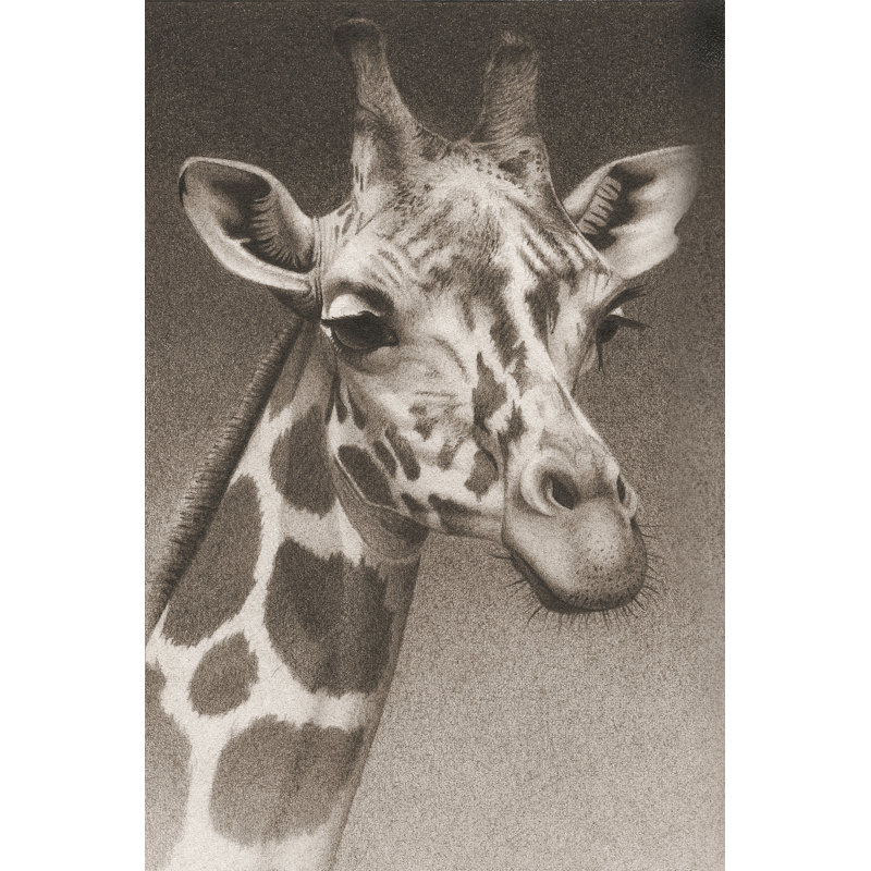 Jean The Giraffe (P) by Robert L. Caldwell, Jr. - Print, 30cm H x 20cm W, Wrapped Canvas