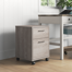 Huckins 16'' Wide 2 -Drawer Mobile File Cabinet