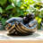 Bronze Giving Hands Birdfeeder Enchanting 9" Polyresin Garden Décor