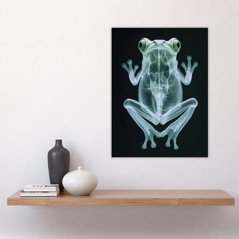 Frog Dark Luminescent Xray Effect Wall Art Print