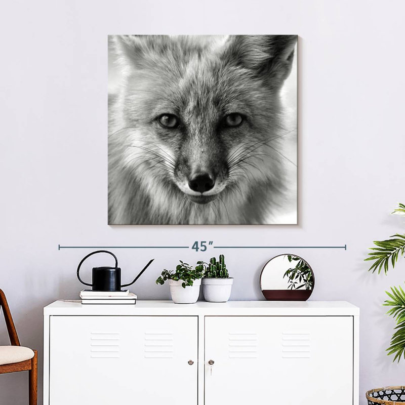 Crowle Fox Portrait, H 30 po x l 30 po