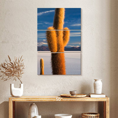 Cactus Alvord Isla Incahuasi