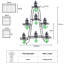 Analecia Plant Stand