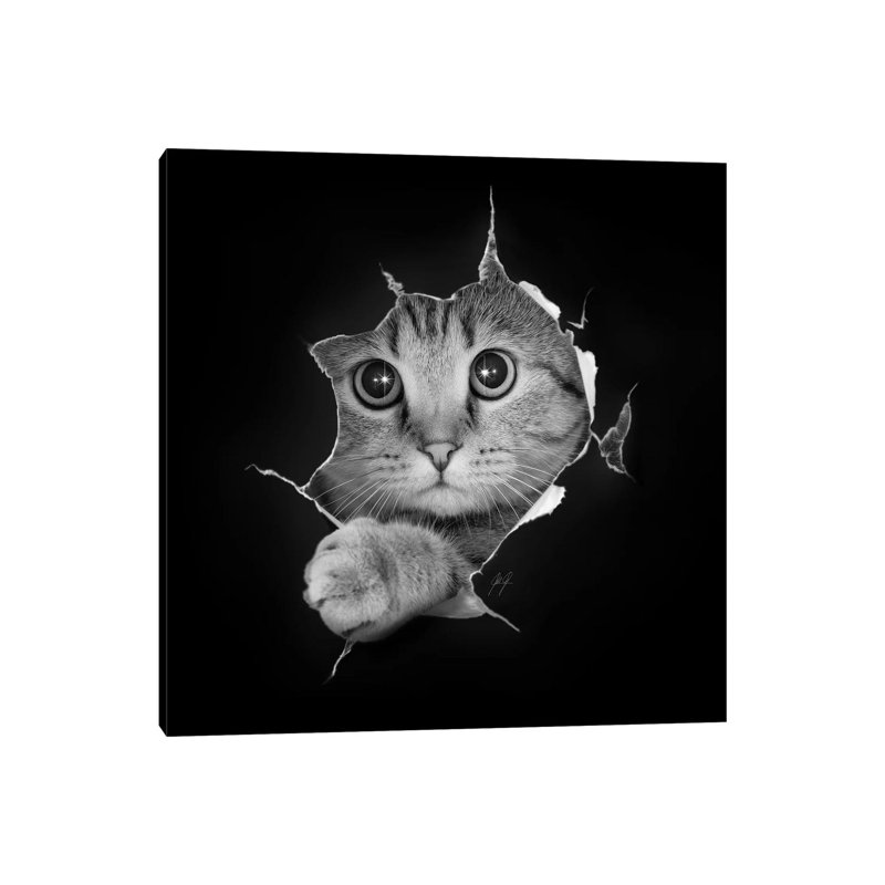« Just checking » par Kathrin Federer-impression d’art graphique, Pas de tapis, H 26 po x l 26 po x 1,5 po, Toile tendue
