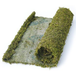 Dried Moss Pad Decorated Sheet 12 x 71 Inches Table Runners, Place Mats, Floor Cover Primrue