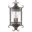 Casa 3-Light Outdoor Hanging Lantern
