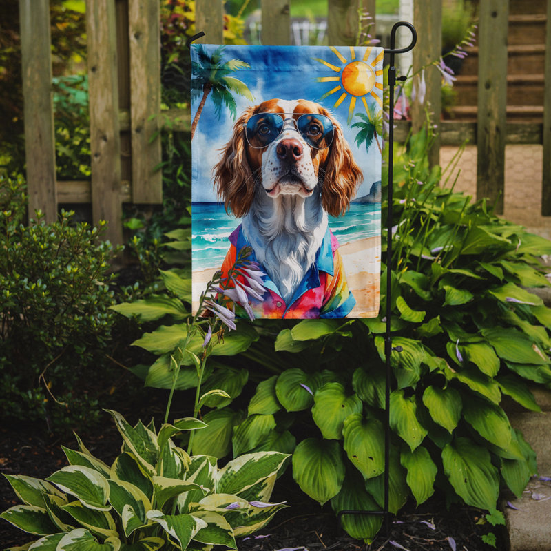 Bouvier bernois avec drapeau de jardin, Bretagne