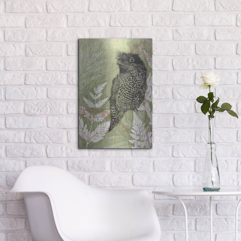 «Tawny Frog Mouth» par trudy riz, H 24 po x l 16 po