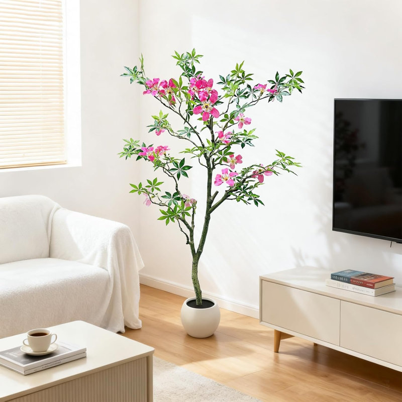 152cm Plant