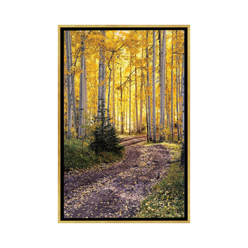 «Autumn Aspen Forest Road - Colorado Fall Colors», reproduction d'art sur toile encadrée, 40 po x 26 po, Toile avec cadre