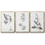 Botanical Imprint I 3 pièces-97757933-97757931