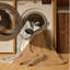 Tapis moderne pour mini-fourgonnette lavable à la machine-183811100
