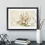 Magnolia Flowers Illustration Tab. 29 by Frederick Sander - Framed Print-55577432-55577433