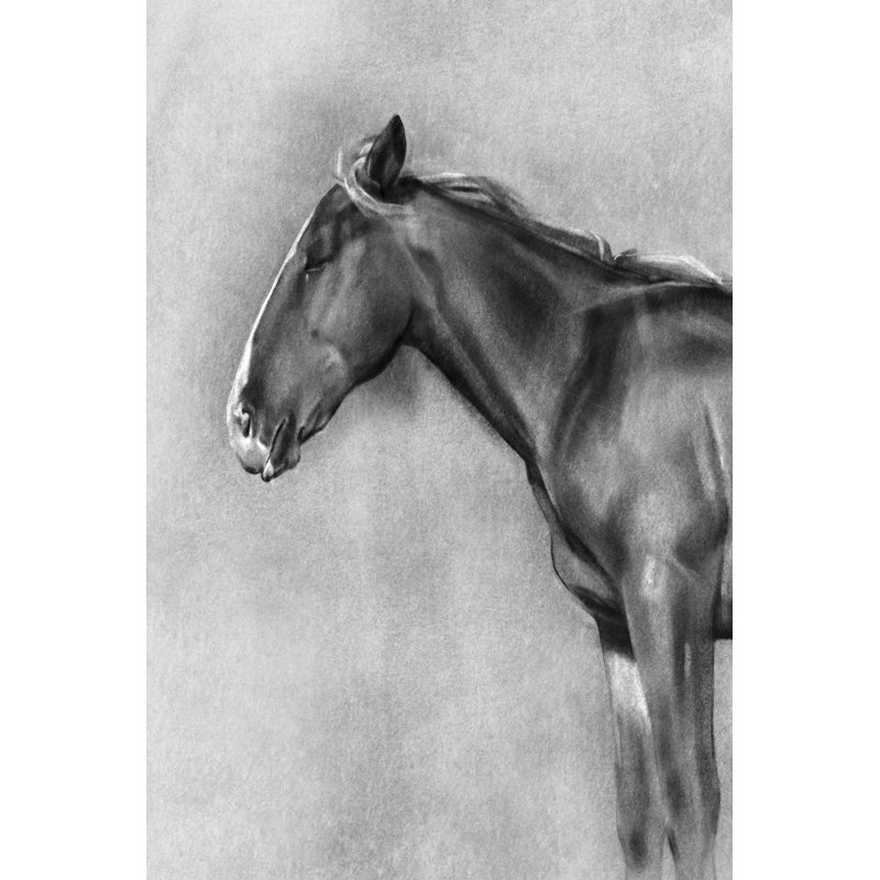 Charcoal Equine Portrait II by Emma Caroline - Wrapped Canvas Print, 122cm H x 81cm W