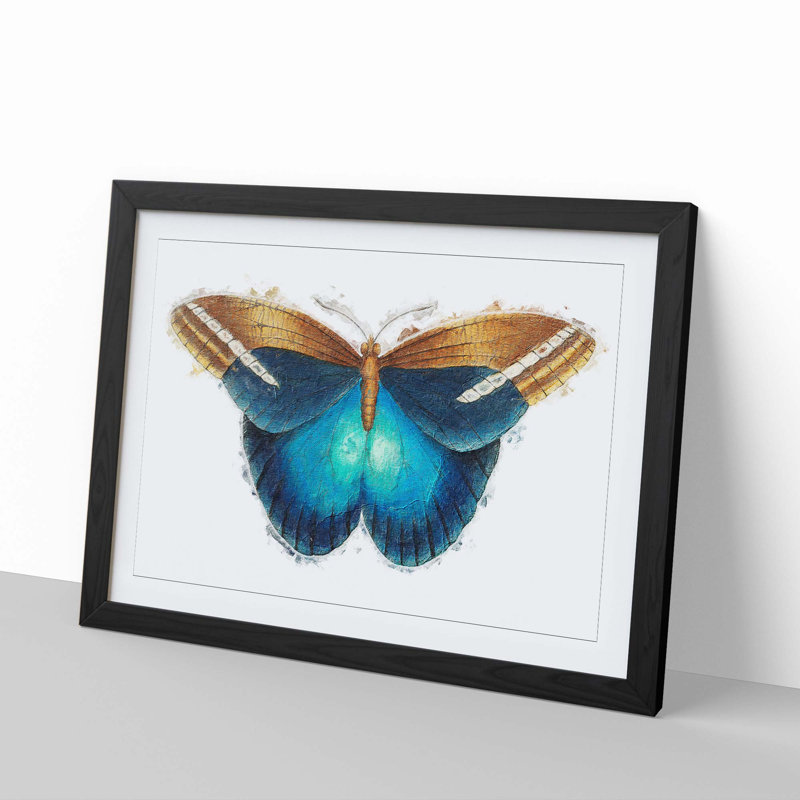 Idomeneus Butterfly by George Shaw - Framed Print, 36cm H x 48cm W x 2cm D, Black Framed