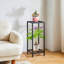 Plant Stand