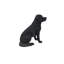 Statue Noble Labrador assis-1866029696