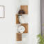 Spicer Corner Bookcase-1009210718