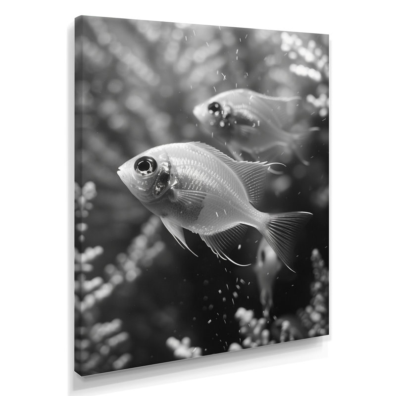 Monogramme d'aquariums de poissons gris gris - Aquariums, salon d'art mural, Toile tendue, H 34 po x l 44 po