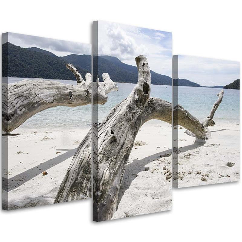 Leinwandbild Baum Zweig Meer Strand Berge