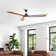80" Sculpt 3 - Blade LED Standard Ceiling Fan with Wall Control and Light Kit Included