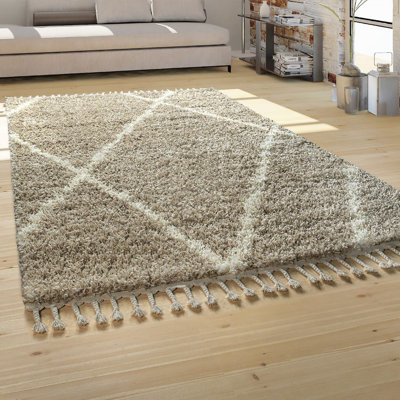 Forteau Geometric Shag Area Rug