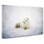 Resting Arctic Fox - Wrapped Canvas-56629616