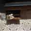 Customer photo 3 of 6