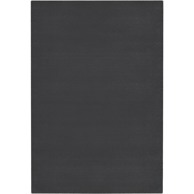 Aviad Solid Colour Area Rug, Rectangle 67 x 133cm