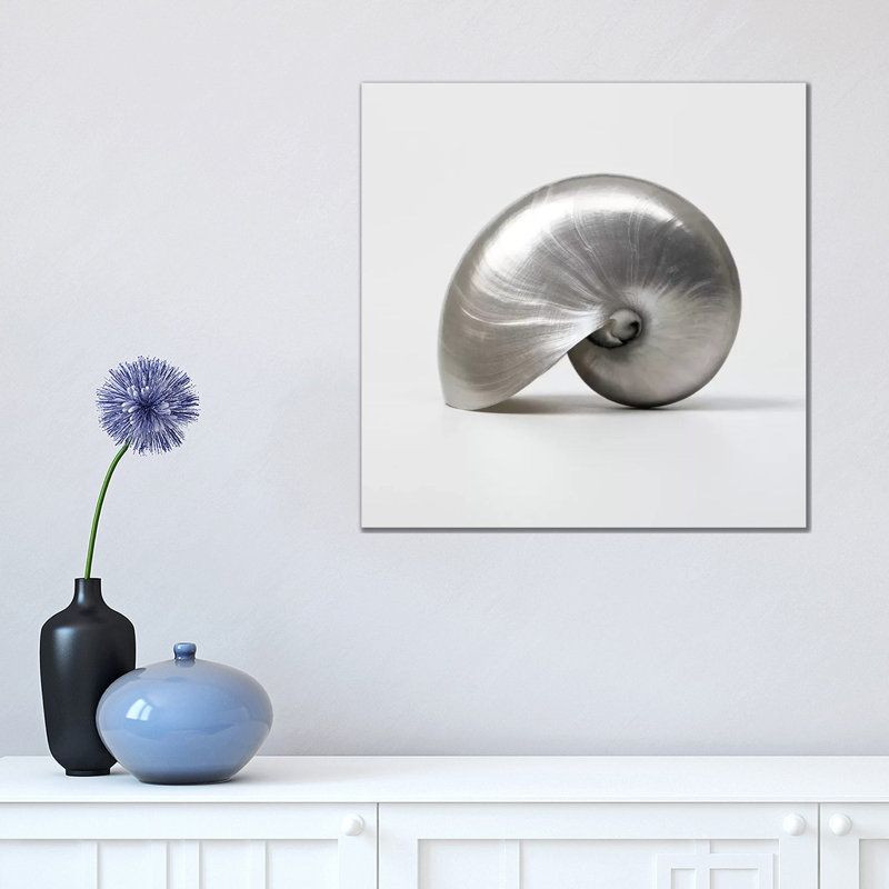 Beachside Treasure I by Assaf Frank - Wrapped Canvas Print, 45.72 cm H x 45.72 cm W x 1.91 cm D