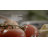 Hestan NanoBond Covered Saute' w/ Helper Handle-51342055