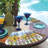 Springtime Garden 4 Piece Reversible Wedge Shaped Easy Care Placemats