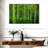 Alvord Bamboo Jungle-111960997