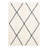 Restivo Moroccan Indoor Rug-1395656261