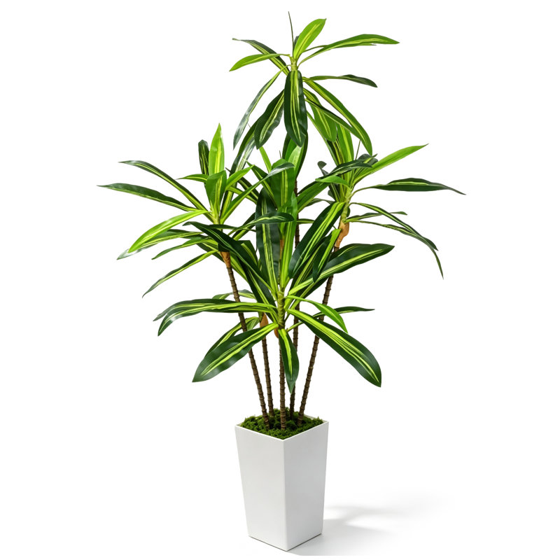 Faux arbre Dracaena 6 pi