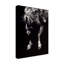 « hange quatre », reproduction d’impression sur toile tendue-33515712