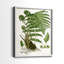 Impression encadrée Fern I-Premium - prête à être accrochée - aucun clou requis - aucun clou requis-107997870-107997874