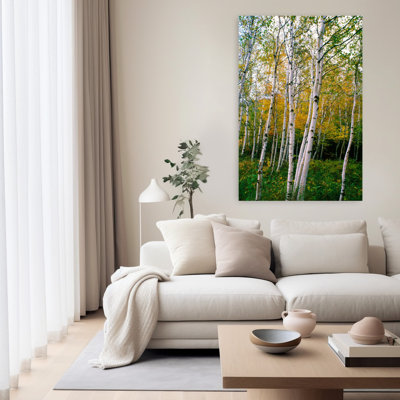 Stand Of White Birch Trees Abstract Contemporary Birch Autumn Forest Art