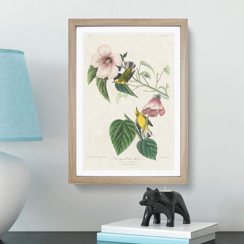Blue Winged Yellow Warbler Birds by John Audubon - Picture Frame Graphic Art Print, 48cm H x 36cm W x 2cm D, Oak Framed