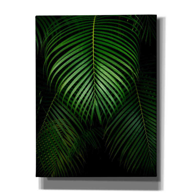 «Tropical IV» par Dennis Frates, art mural sur toile, H 16 po x l 12 po x P 0,75 po
