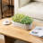 Indoor Ceramic Flower Pot Planter-1292763944