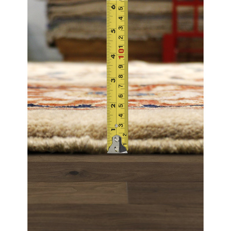 Sultanabad Hand Knotted Wool Oriental Area Rug in Ivory/Black/Red, Rectangle 6'3" x 9'2"