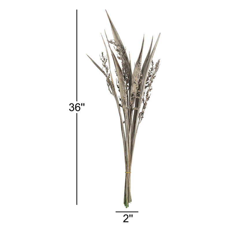 36" Bahia Spears with Seeds, Dried, Gray Wash