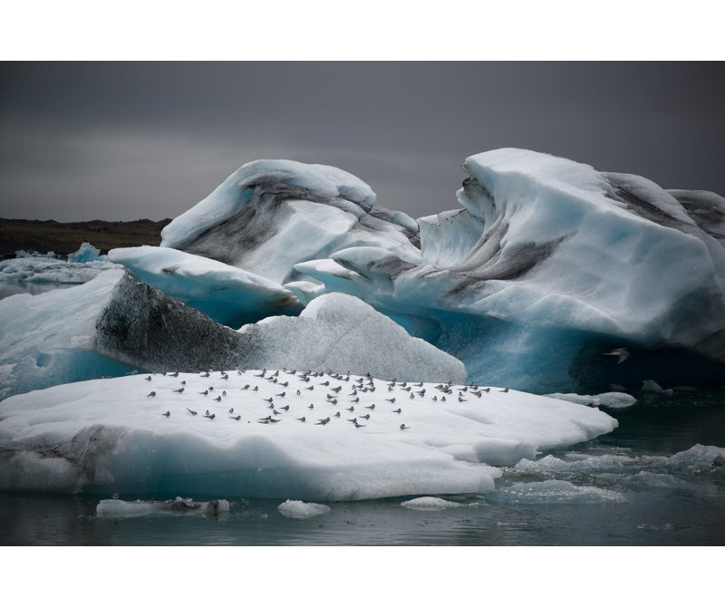 Wrapped Canvas Print, 50.8 cm H x 76.2 cm W