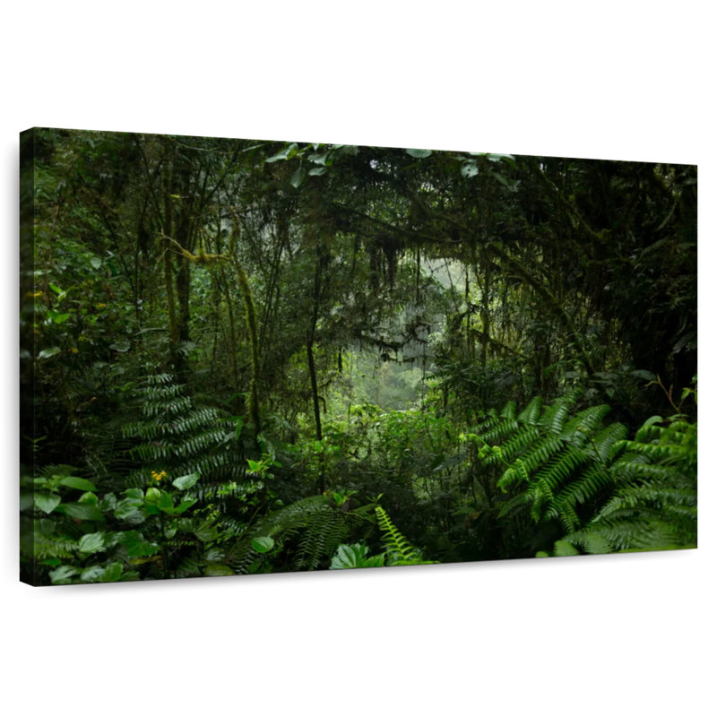 Alvord Rainforest Tunnel, 34" H x 51" W