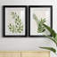 «Botanical Wash I», ensemble de 2 reproductions d'art sur toiles-455244317-455244319-455244315