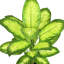 Arbre de daffenbachia artificiel en pot